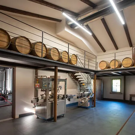 Relais Pqlin & Winery 4* Castagnito